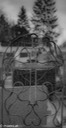 4web-9849