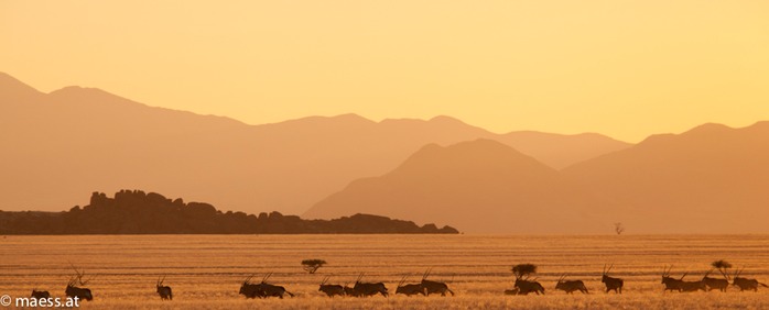 IMG 3889